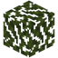 Palm Leaves