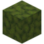 Blobby Moss Block