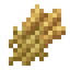 Barley