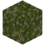 Kelp Sand