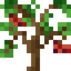 Cherry Sapling