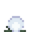 Tall Shimmerweed