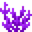 Anchor Coral