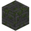 Inscribed Mossy Stone Bricks