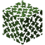 Birch Leaves
