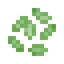 Leek Seeds
