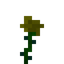 Cyan Rose