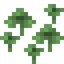 Clover