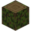 Overgrown Oak Log