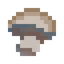 Roasted Mushroom
