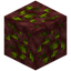Nether Inferium Ore