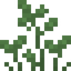 Sprout