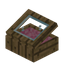 Pink Alpha Display Case