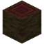 Mangrove Log