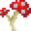 Franken Red Mushroom
