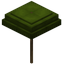 Green Umbrella