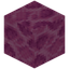 Brain Coral Block