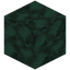 Rough Dark Prismarine
