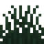 Grass