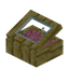 Pink Yellow Bioshroom Display Case