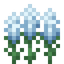 White Lavender