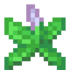 Mint Leaves
