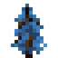 Blue Spruce Sapling