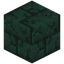Cracked Dark Prismarine Bricks
