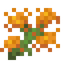 Marigold