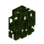 Mangrove Hedge