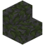 Mossy Stone Stairs