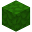 Green Petal Block