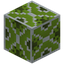 Green Glazed Terracotta Pillar Sides