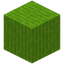 Barky Lime Wool