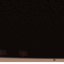 Thermal Monitor