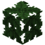 Palm Leaves