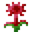 Munchdew