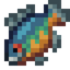 Bluegill