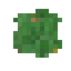 Moss Patch