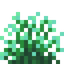 Cyan Snowbelle