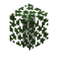 Birch Leaf Hedge