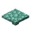 Prismarine Step