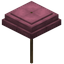 Pink Umbrella