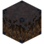 Mycelium 1x