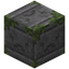 Crying Mossy Stone Bricks