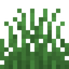 Grass