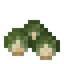 Brusselsprout