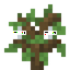 Spiderweb Sapling