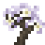 White Sakura Sapling