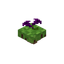 Floating Purple Flower